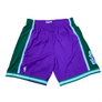 MITCHELL & NESS - NBA ALTERNATE SWINGMAN -SHORTS BUCKS 00-02 MENS -PURPLE GREEN