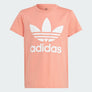 ADIDAS ORIGINALS M DOODLE F TEE MEN’S -WONDER CLAY
