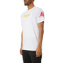 Kappa AUTHENTIC PAROO  MAN TEE Men’s - WHITE-FUCHSIA-BLUE-YELLOW DK