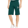 Puma T7 FREIZEIT SHORT 11.5IN Men’s - PONDEROSA PINE - Moesports