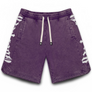 Godspeed Courside Shorts Men's- PURPLE
