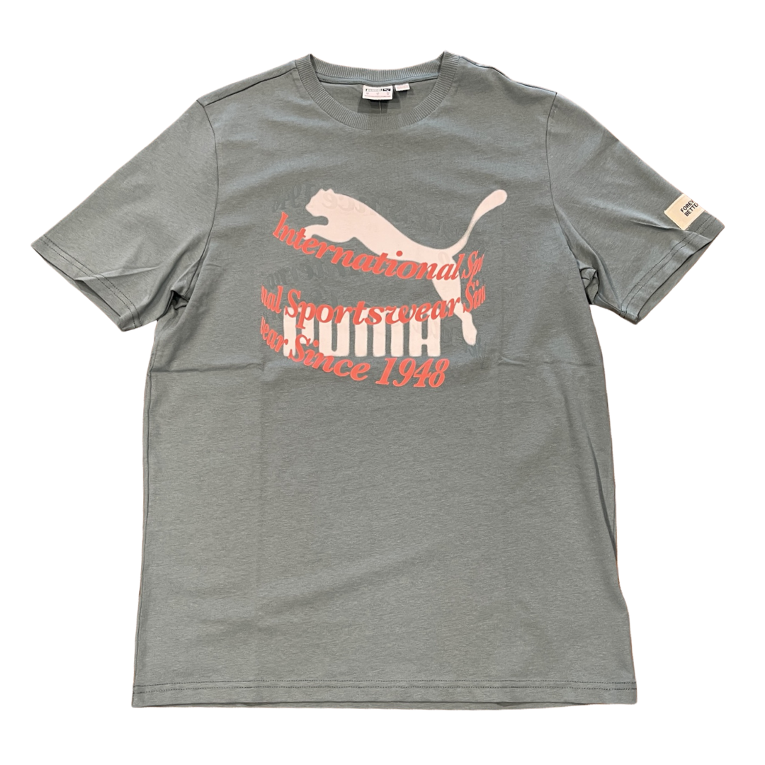 Puma CLASSICS GRAPHICS TEE Men’s-ADRIATIC-VAPOR GREY – Moesports