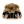 Jordan Craig LEGACY EDITION MOTO SHEARLING JACKET Kids - BLACK COFFEE